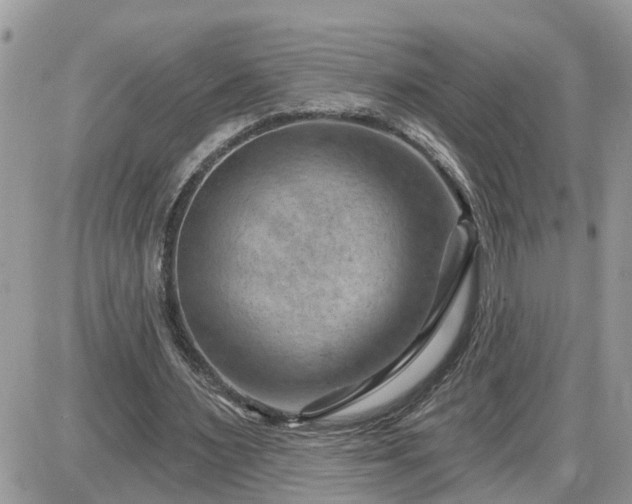 X0000087590483200705041513