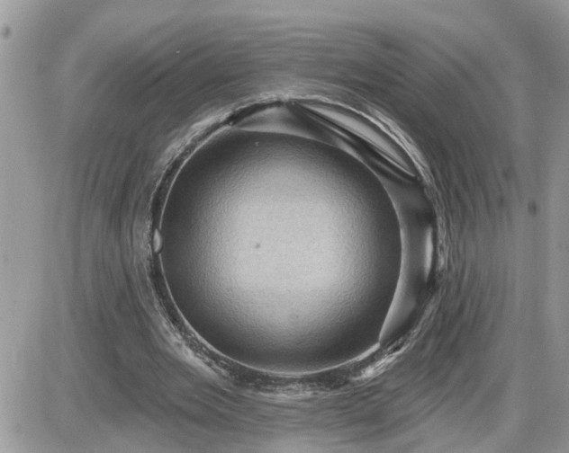 X0000087590485200705041513