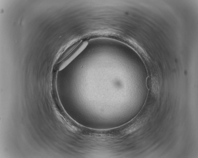 X0000087590486200705041513