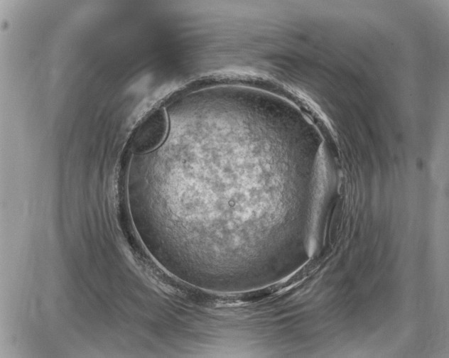 X0000087590487200705041513