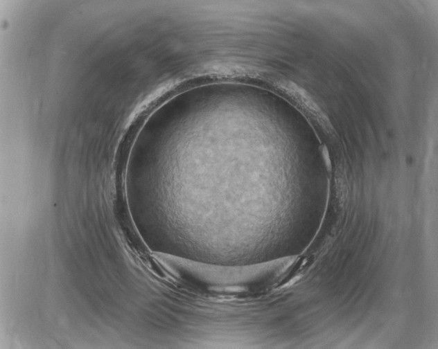 X0000087590488200705041513