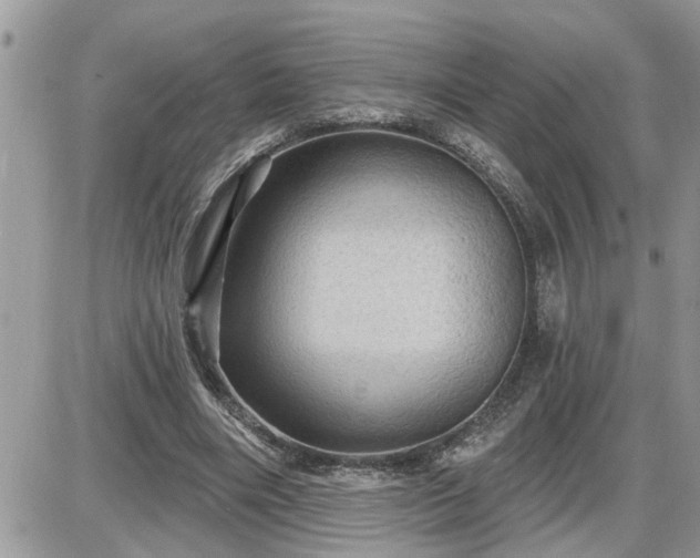 X0000087590490200705041513