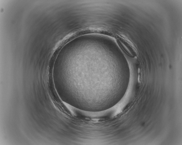 X0000087590492200705041512