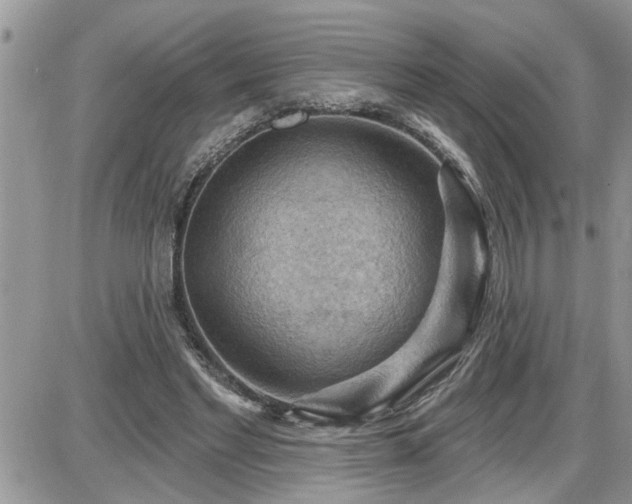 X0000087590493200705041512