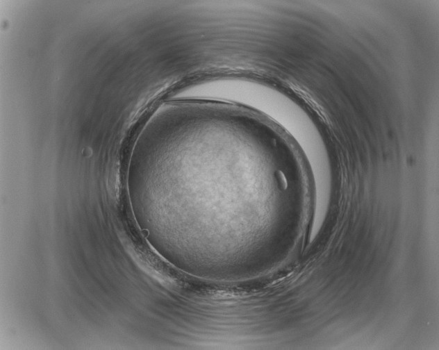 X0000087590494200705041512