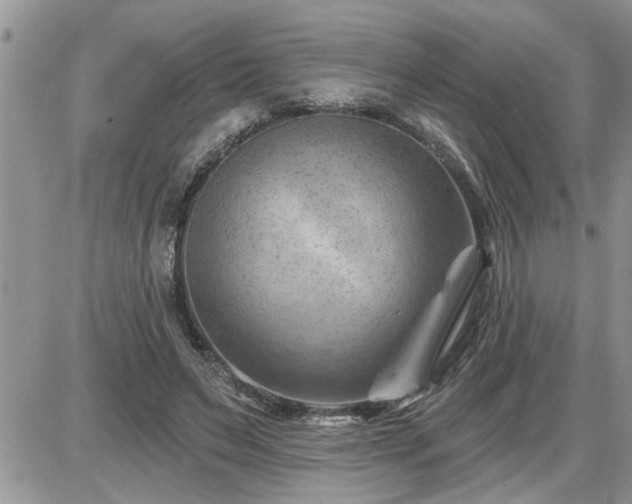 X0000087590495200705041512