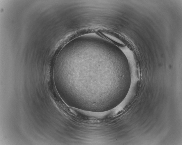 X0000087590496200705041512