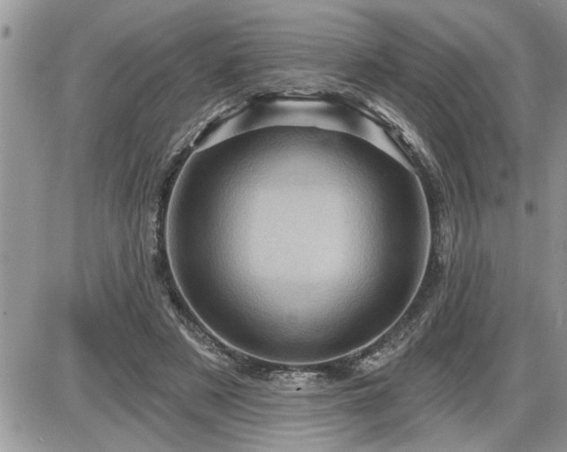 X0000087590497200705041512