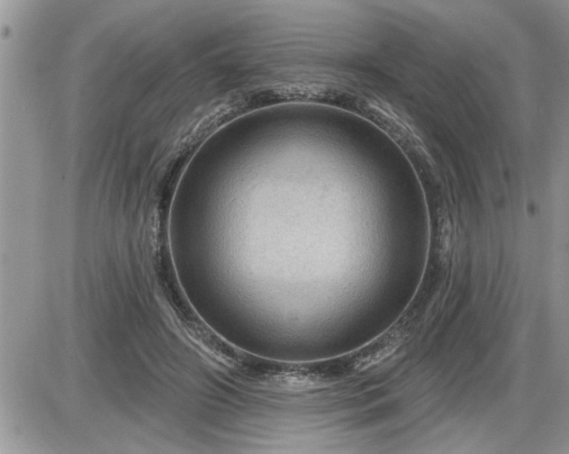 X0000087590498200705041512