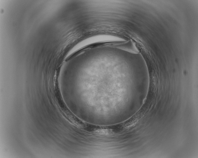 X0000087590499200705041512