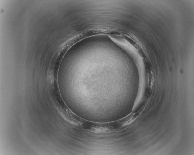 X0000087590500200705041512