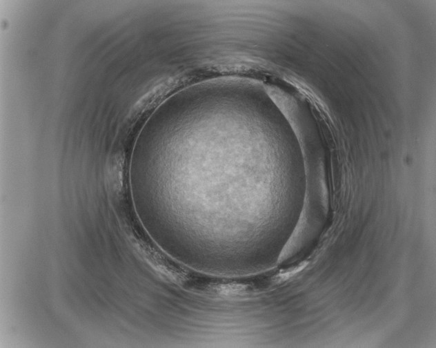 X0000087590501200705041512