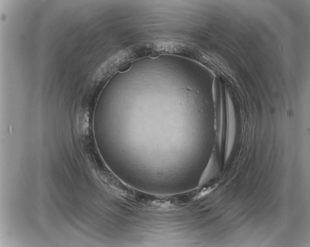 X0000087590502200705041512