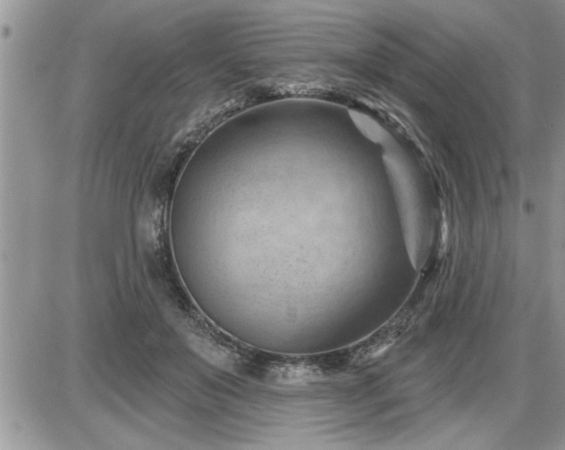 X0000087590503200705041512