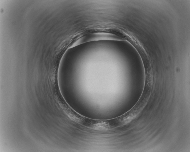 X0000087590505200705041512