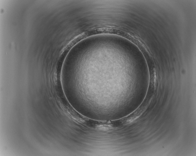 X0000087590508200705041512