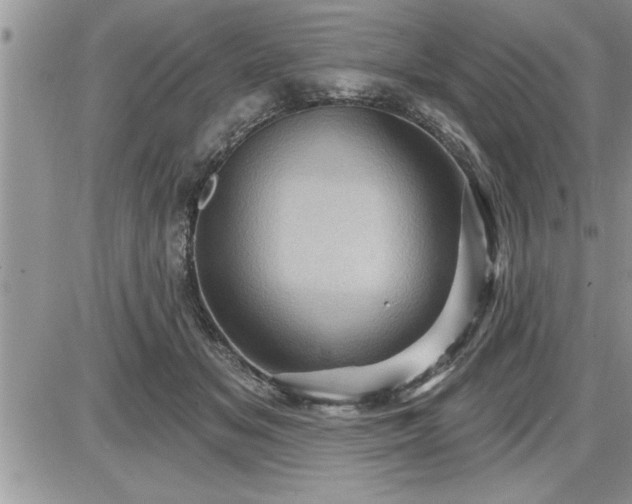 X0000087590509200705041512