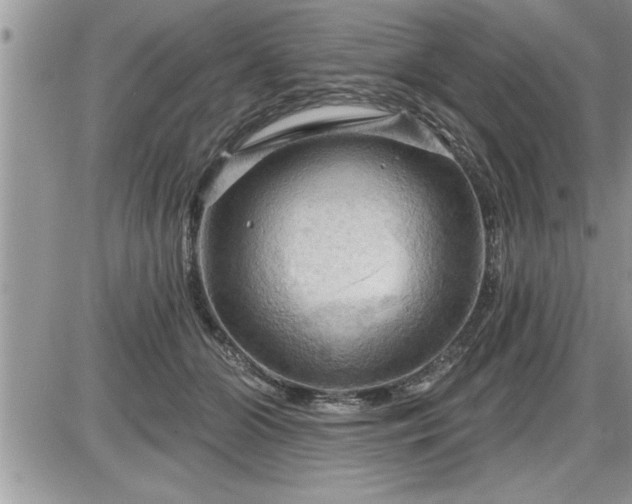 X0000087590510200705041512