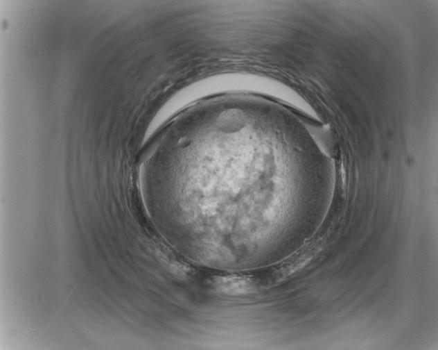 X0000087590511200705041512