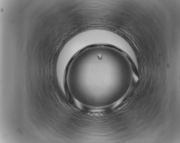 X0000087590512200705041512