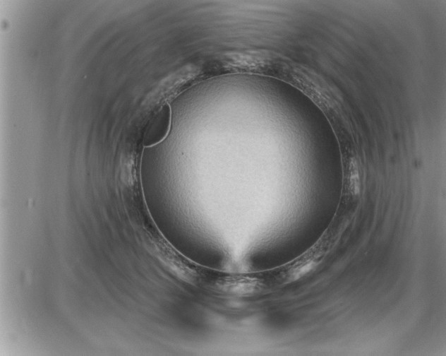 X0000087590514200705041512