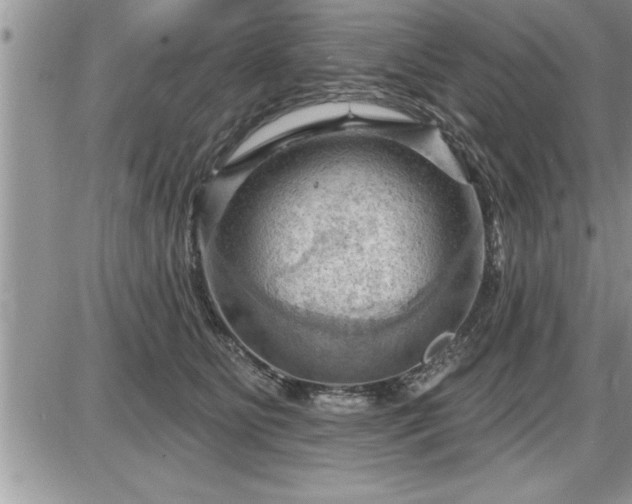 X0000087590515200705041512