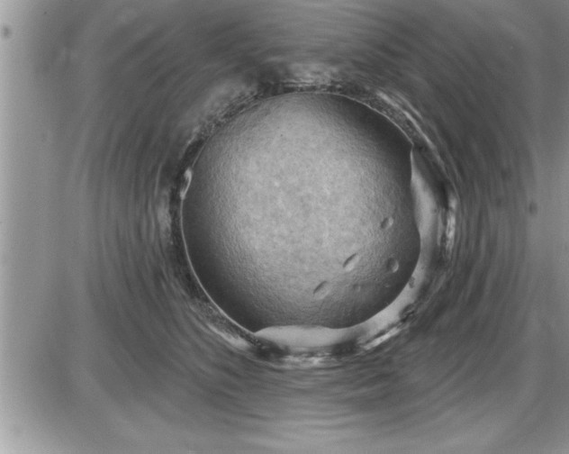 X0000087590516200705041512