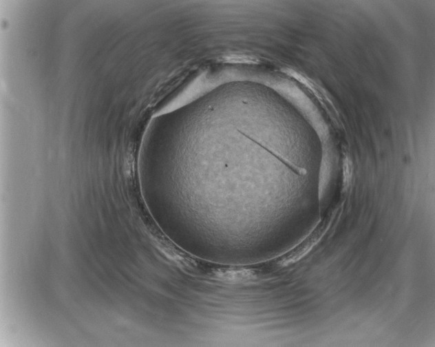 X0000087590517200705041512