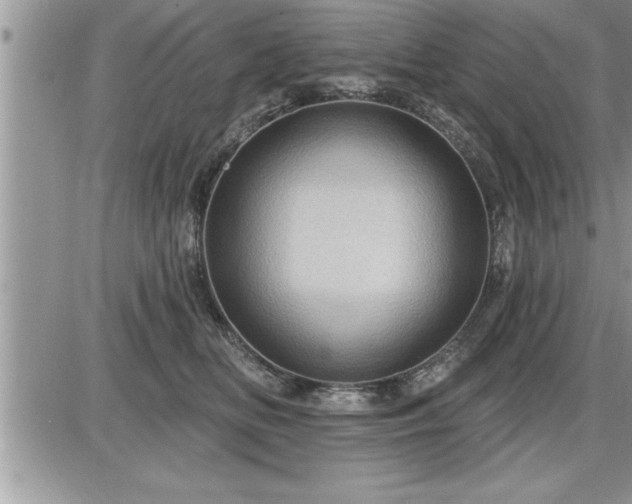 X0000087590518200705041512