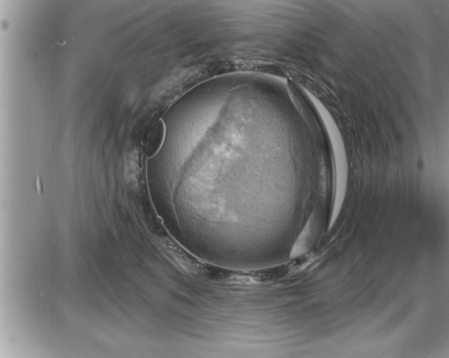 X0000087590519200705041512