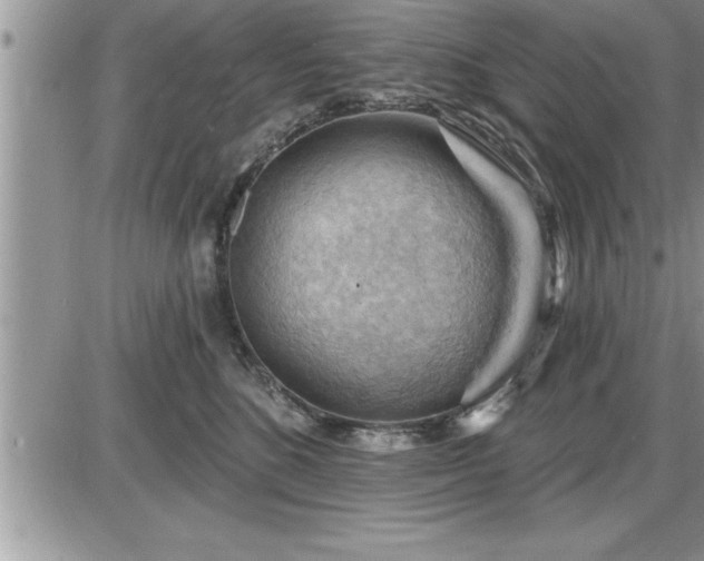 X0000087590520200705041512