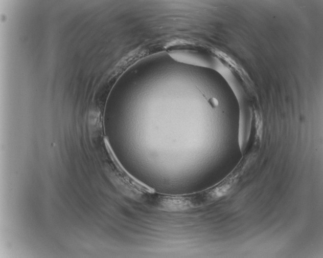 X0000087590521200705041512