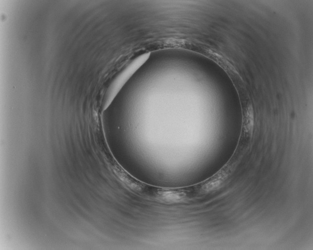 X0000087590522200705041512