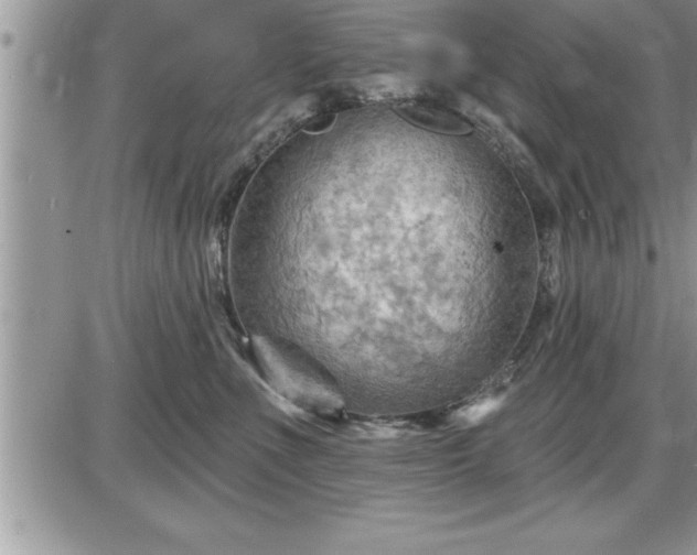 X0000087590523200705041512