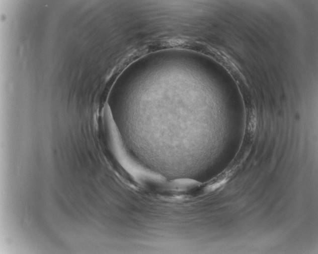 X0000087590524200705041512