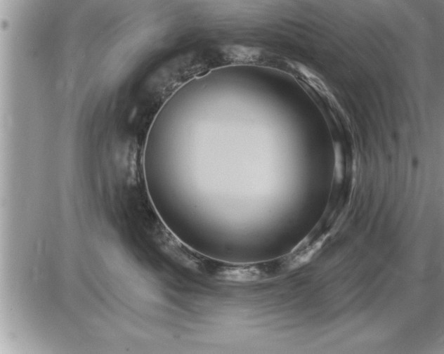 X0000087590525200705041512