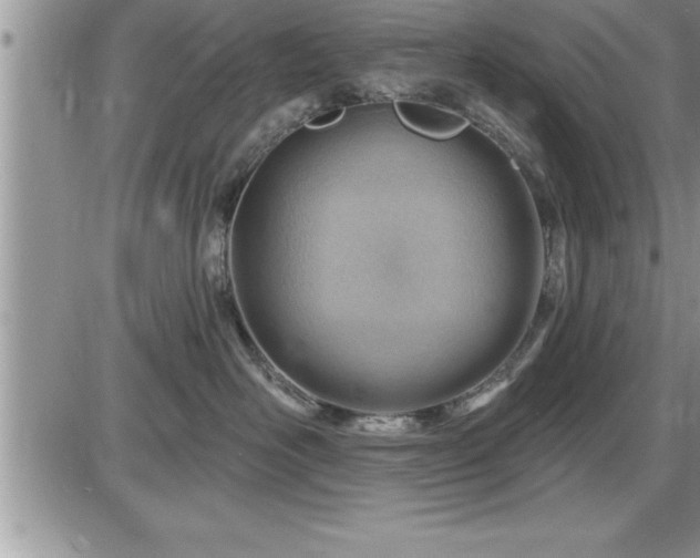 X0000087590526200705041512