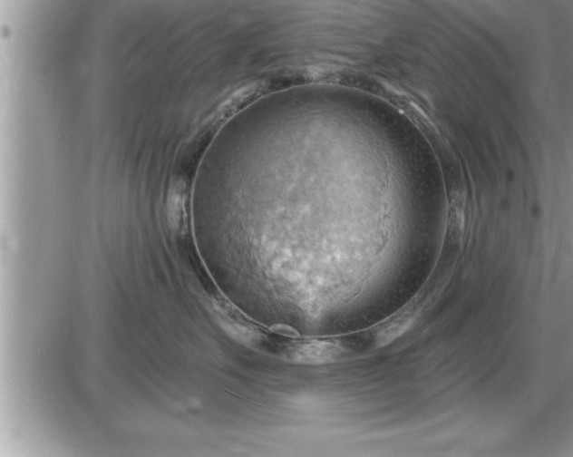 X0000087590527200705041512