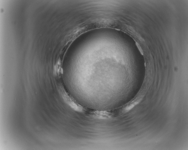 X0000087590528200705041512