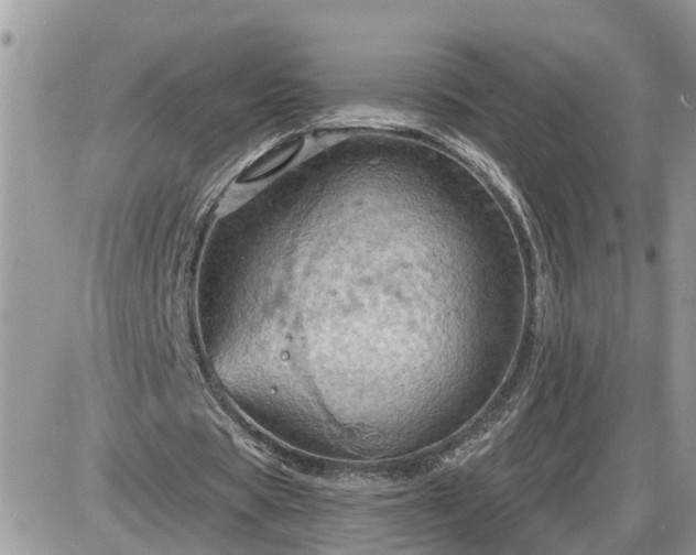 X0000087590529200705041511