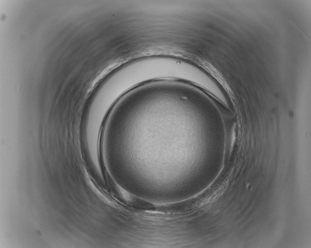 X0000087590530200705041511