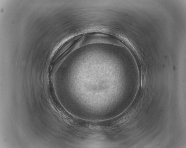 X0000087590531200705041511