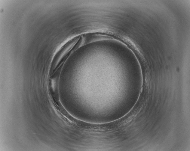 X0000087590532200705041511