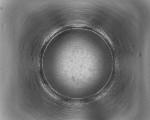 X0000087590533200705041511