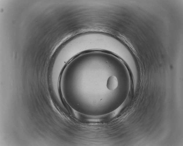 X0000087590534200705041511