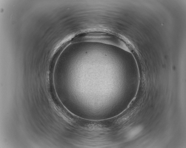 X0000087590535200705041511