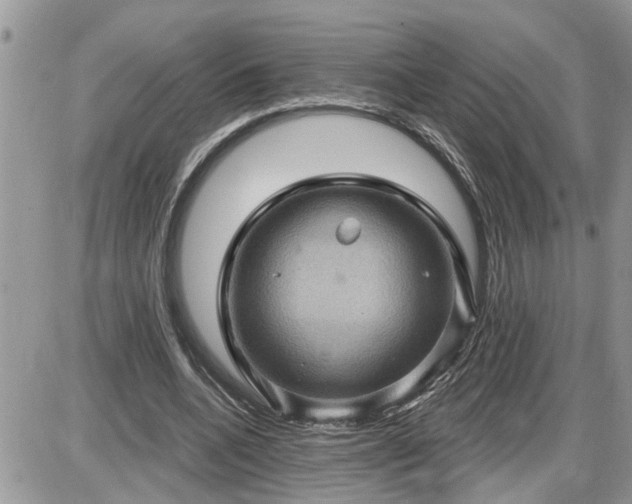 X0000087590536200705041511