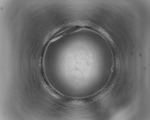 X0000087590537200705041511