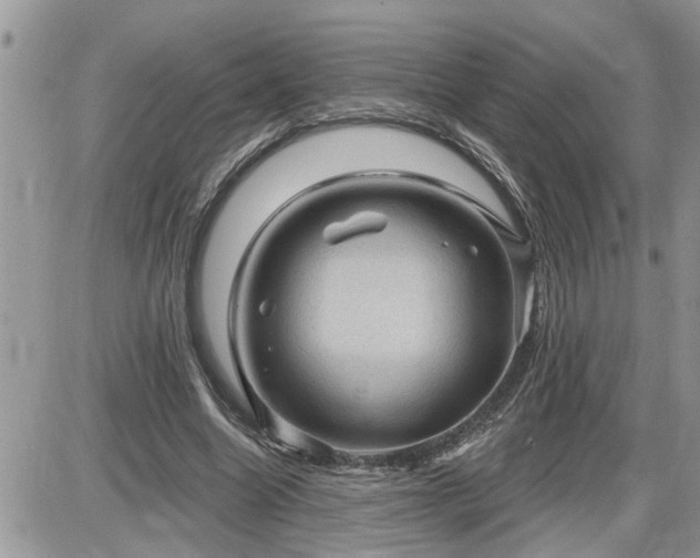 X0000087590538200705041511