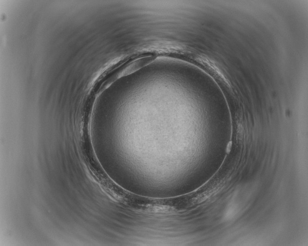 X0000087590539200705041511